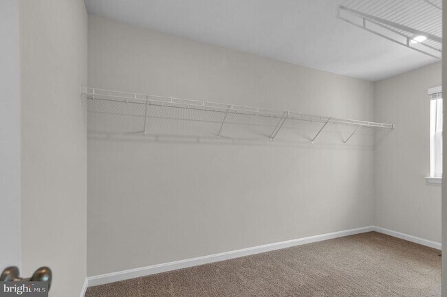 Building Photo - 3148 White Tail Dr