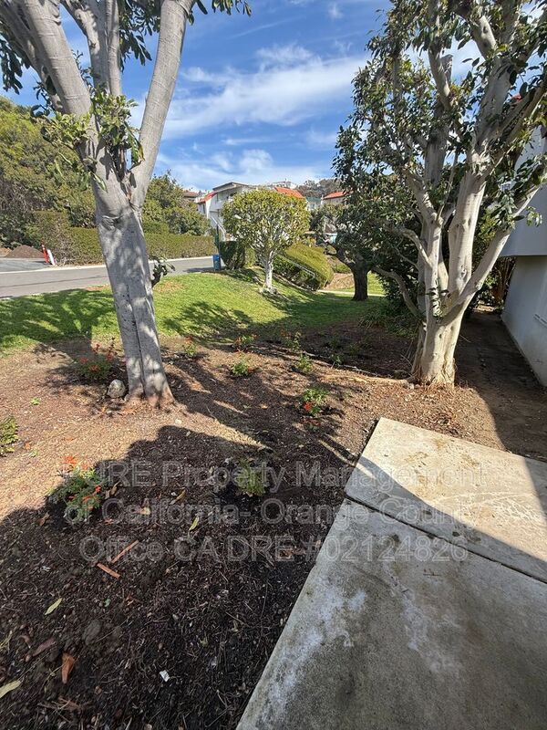 Building Photo - 3626 Calle Casino