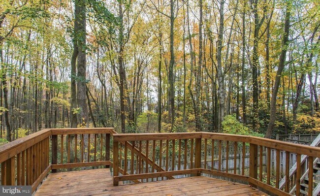 Building Photo - 307 Stafford Mews Ln