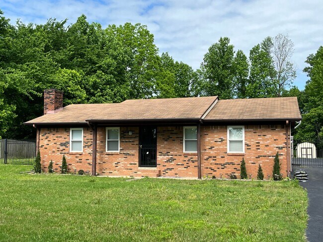 Primary Photo - Spacious