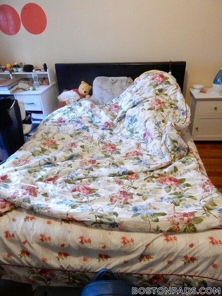 Building Photo - 1130 Commonwealth Ave