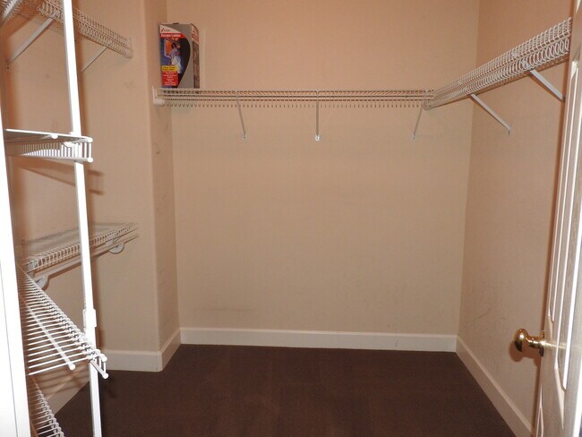 Building Photo - Gorgeous Home with Pool in Beautiful El Do...