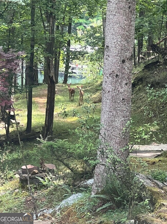 Building Photo - 3473 McKenzie Dr