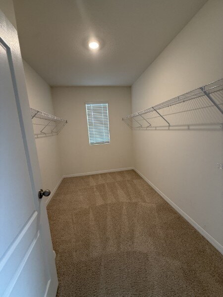 Building Photo - Large 4 Bedroom/2.5 Bathroom Home in Thompson Grove