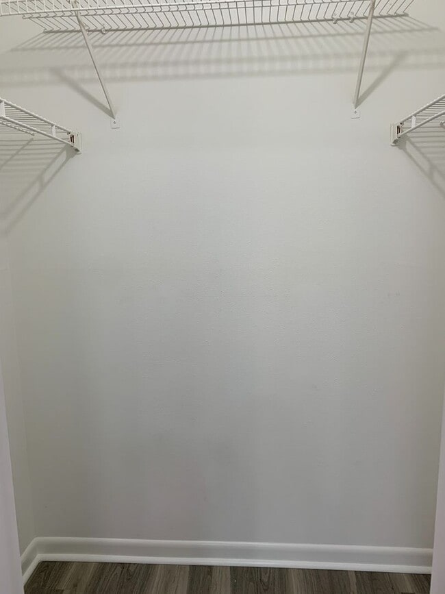 Building Photo - South Tampa Condo