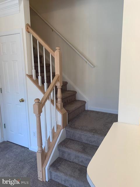 Building Photo - 4120 Vanderbilt Ct