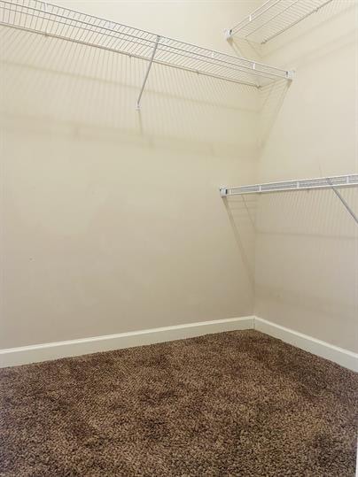 Building Photo - 4869 W Paces Trl