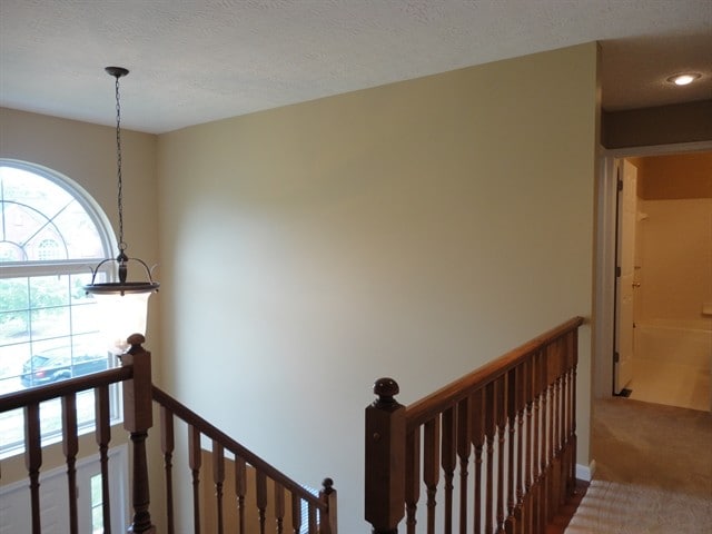 Building Photo - 4073 Sherbourne Dr