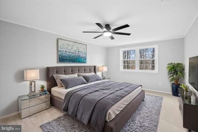 Building Photo - 8300 White Star Ct