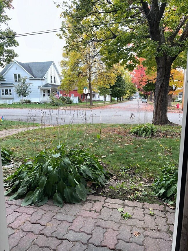 Building Photo - 903 Genrich St