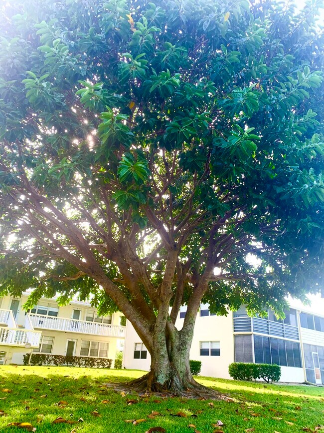 Building Photo - 315 Camden M