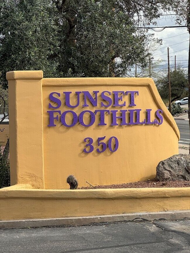 Building Photo - 350 N Silverbell Rd