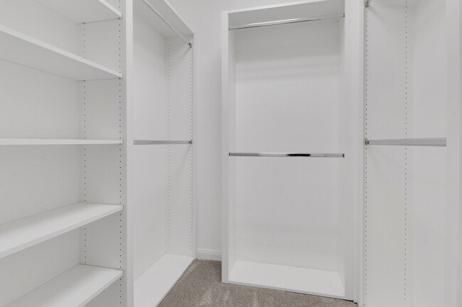 Building Photo - 28721 Alessandria Cir