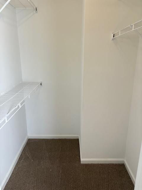 Building Photo - 3917 Sterling Pointe Dr