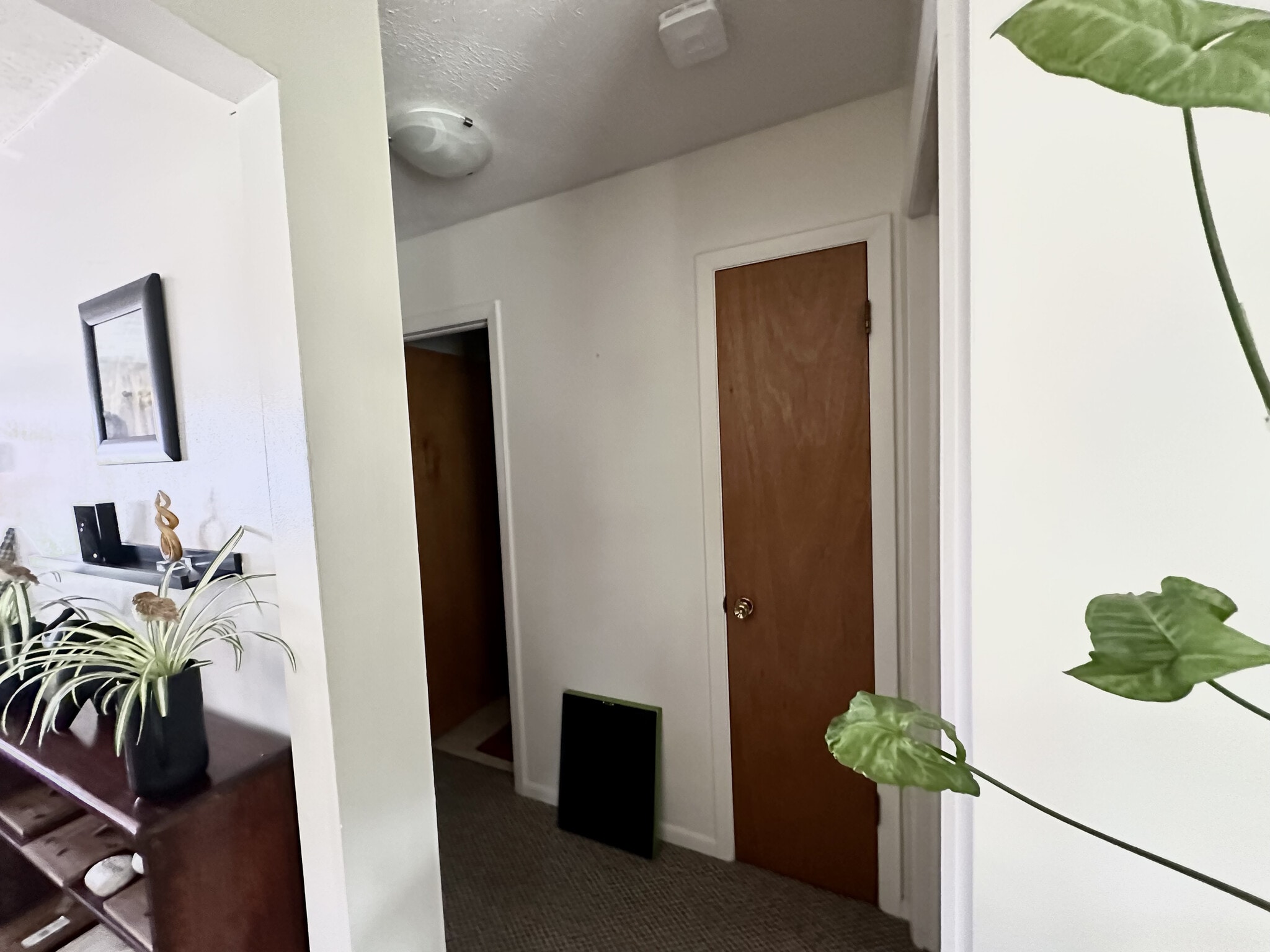 Building Photo - 295 Macrae Rd