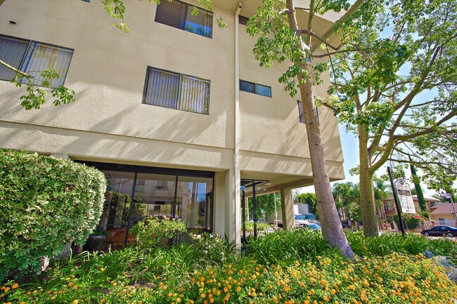 Building Photo - Encino Majestic