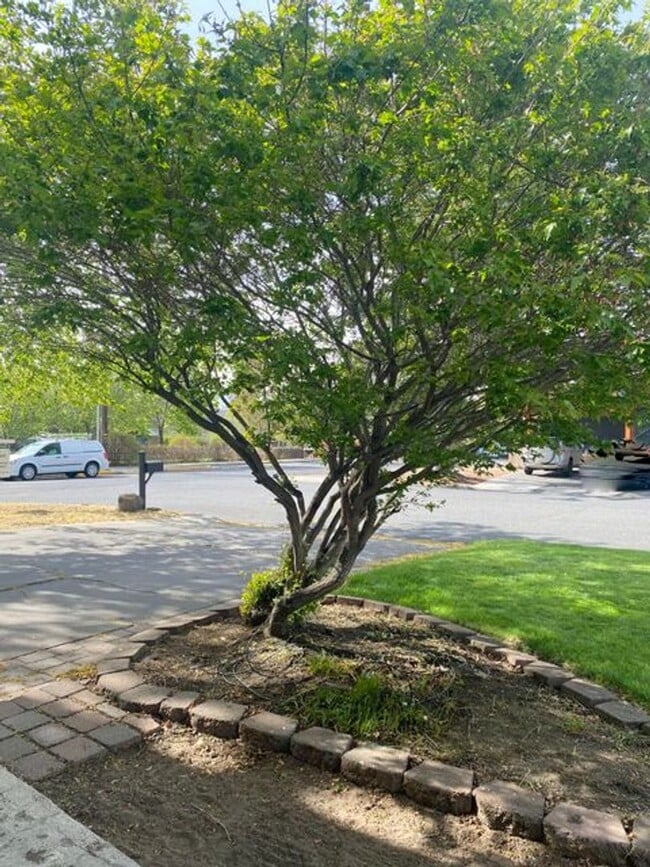 Building Photo - Wonderful home on large corner fenced lot in desired mid-town with views!