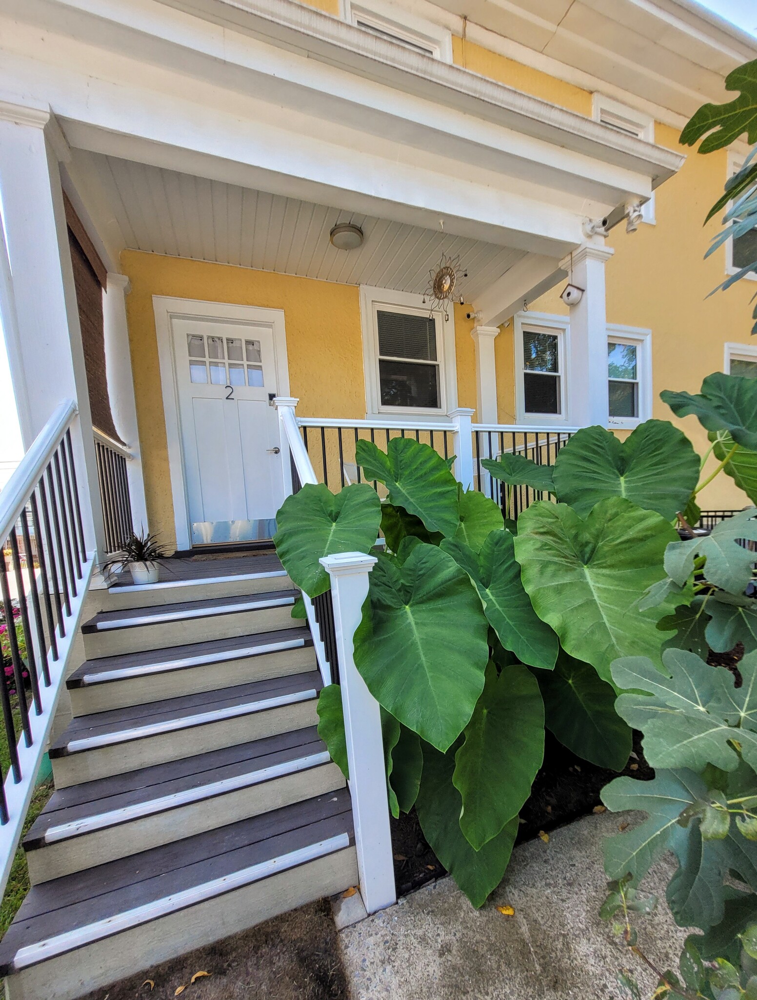 Beautiful greenery right outside - 3541 Fort Ave