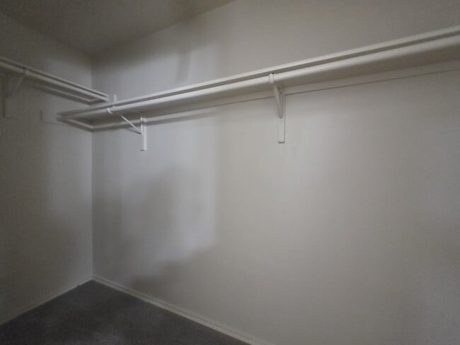 Building Photo - 11602 Maybach Dr