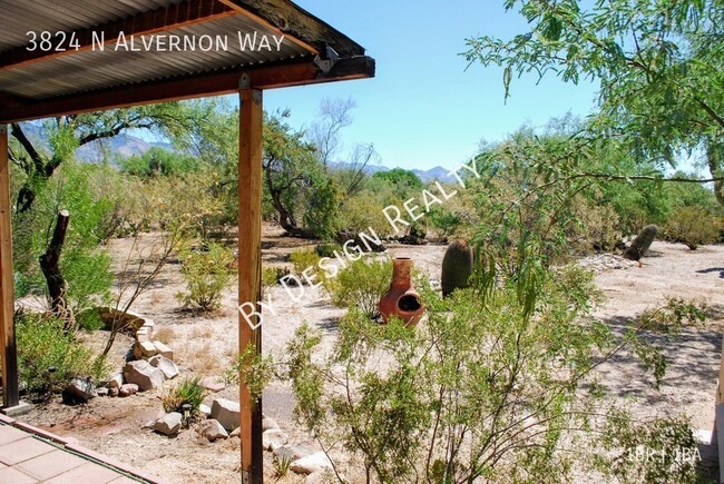 Building Photo - Catalina Foothills 1 Bed 1 Bath Stand Alon...