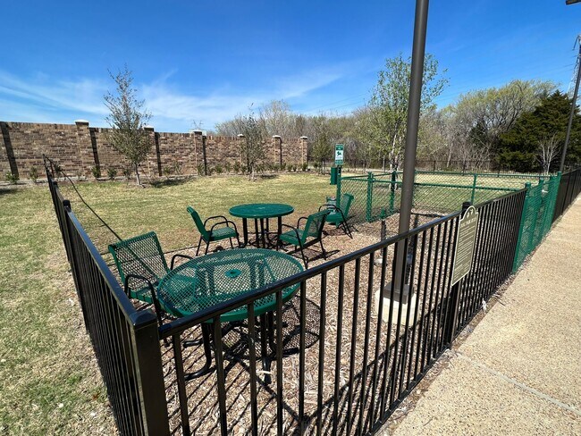 Pet Area - 1232 Alamo Dr