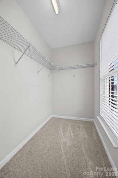 Building Photo - 616 Bayou Cir