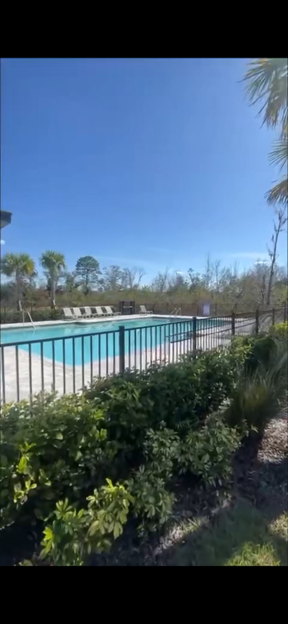 COMMUNITY POOL - 3403 Vesara Dr