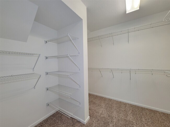 Building Photo - 5311 Timber Ct Hollow
