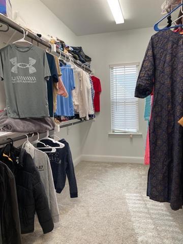 Building Photo - 4705 Corriente Vista Ln