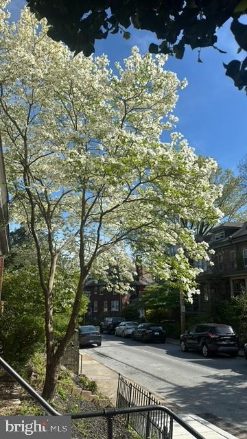 Building Photo - 505 W 19th St