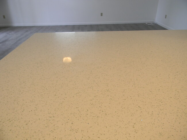 Quartz countertop - 748 E Joan D Arc Ave