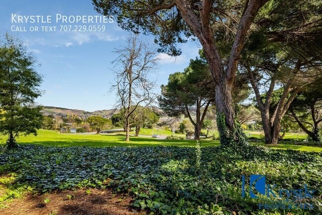 Building Photo - 1459 N Camino Alto
