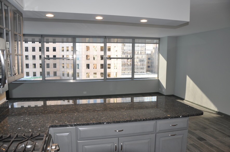 Building Photo - 1000 N Lake Shore Dr