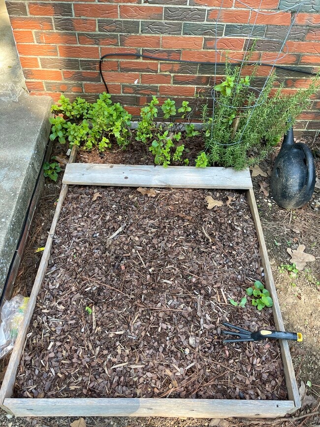 Garden - 1900 Courtney Dr