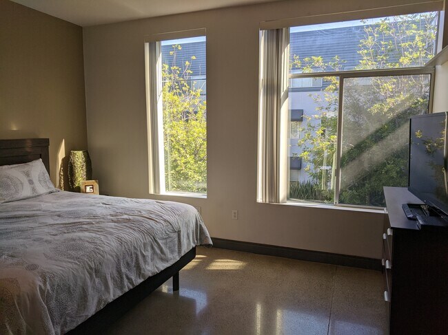 Master with tree view - 435 W Center Street Promenade St