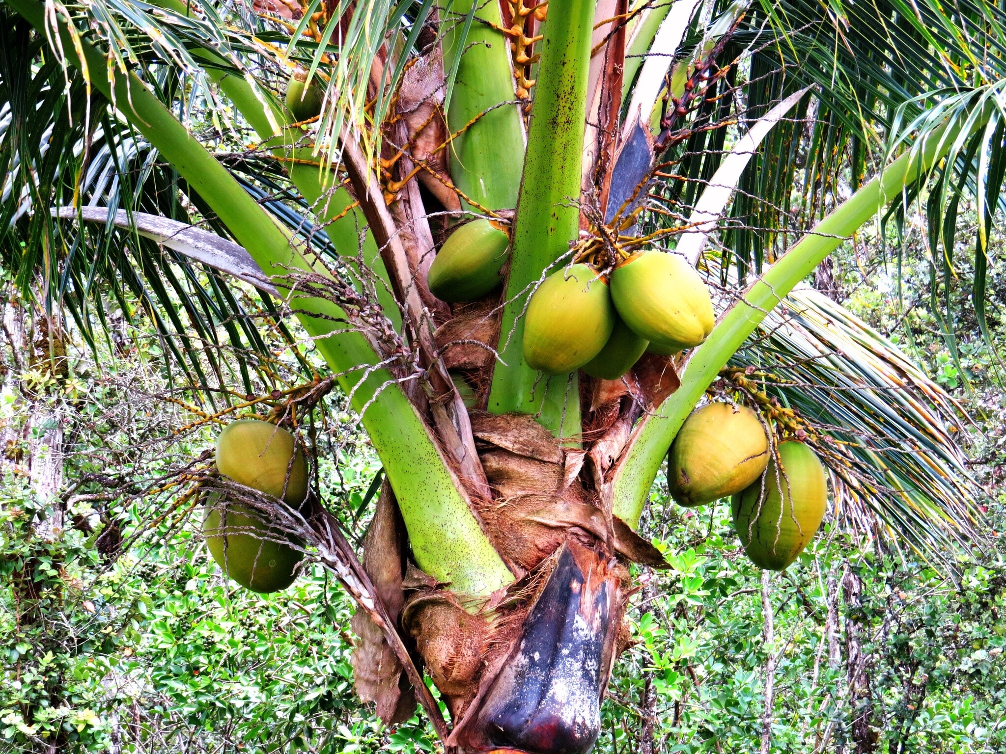 Building Photo - 15-1414 24th Ave