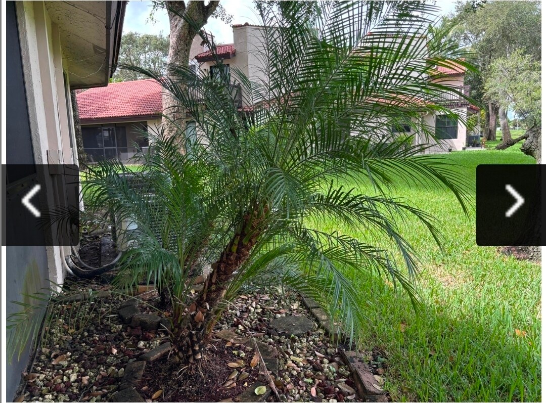 Building Photo - 9121 W Sunrise Blvd