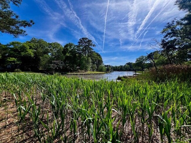 Building Photo - Beautiful waterfront home