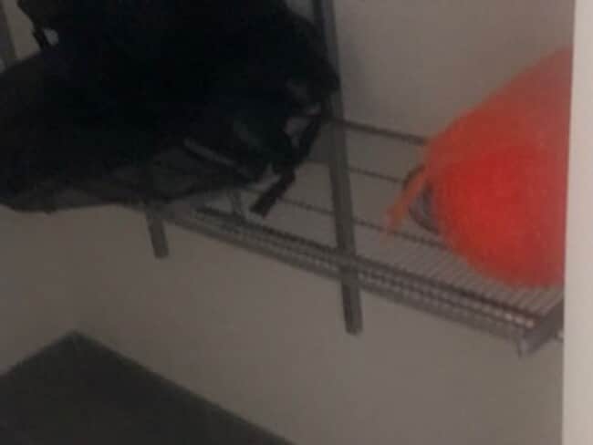 Building Photo - East Village 13th floor condo with panoramic views