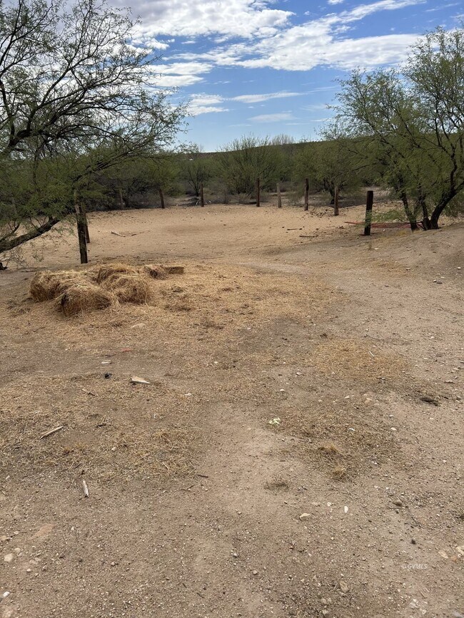 Building Photo - 1805 Desert Tortoise Rd