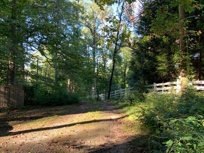 Wooded driveway - 5 Cliffholme Rd