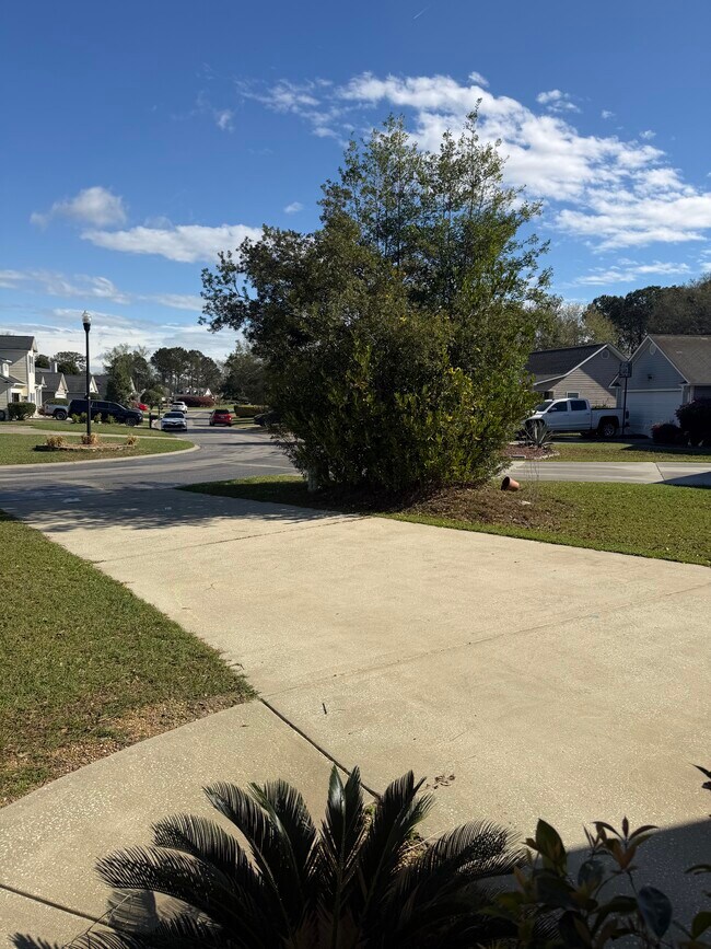 Building Photo - The Willows