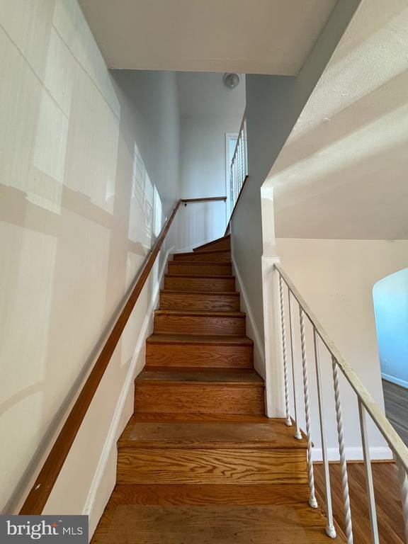 Building Photo - 206 Lynhaven Dr