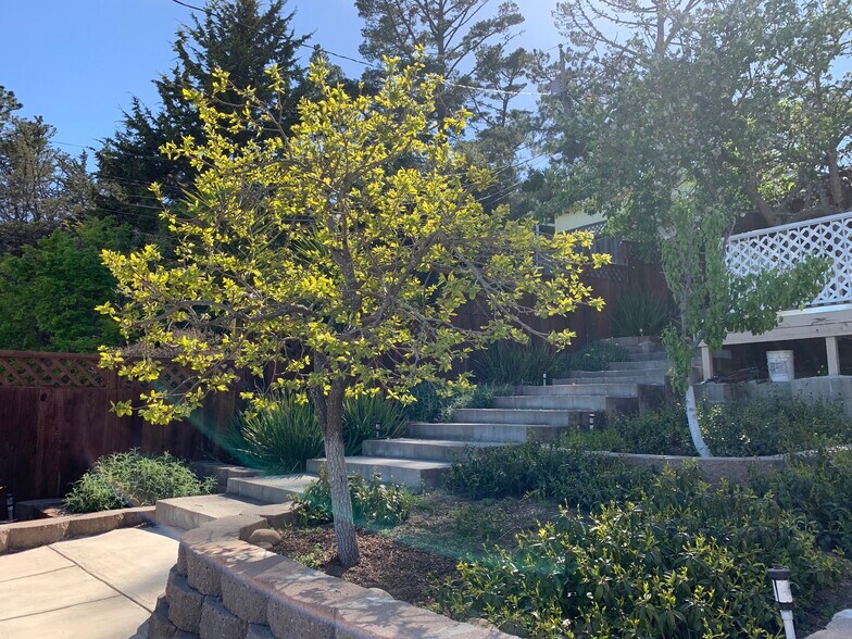 Building Photo - 251 Amador Ave