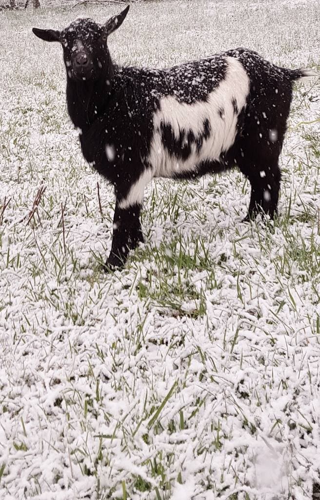 Building Photo - 1310 Hollow Rd