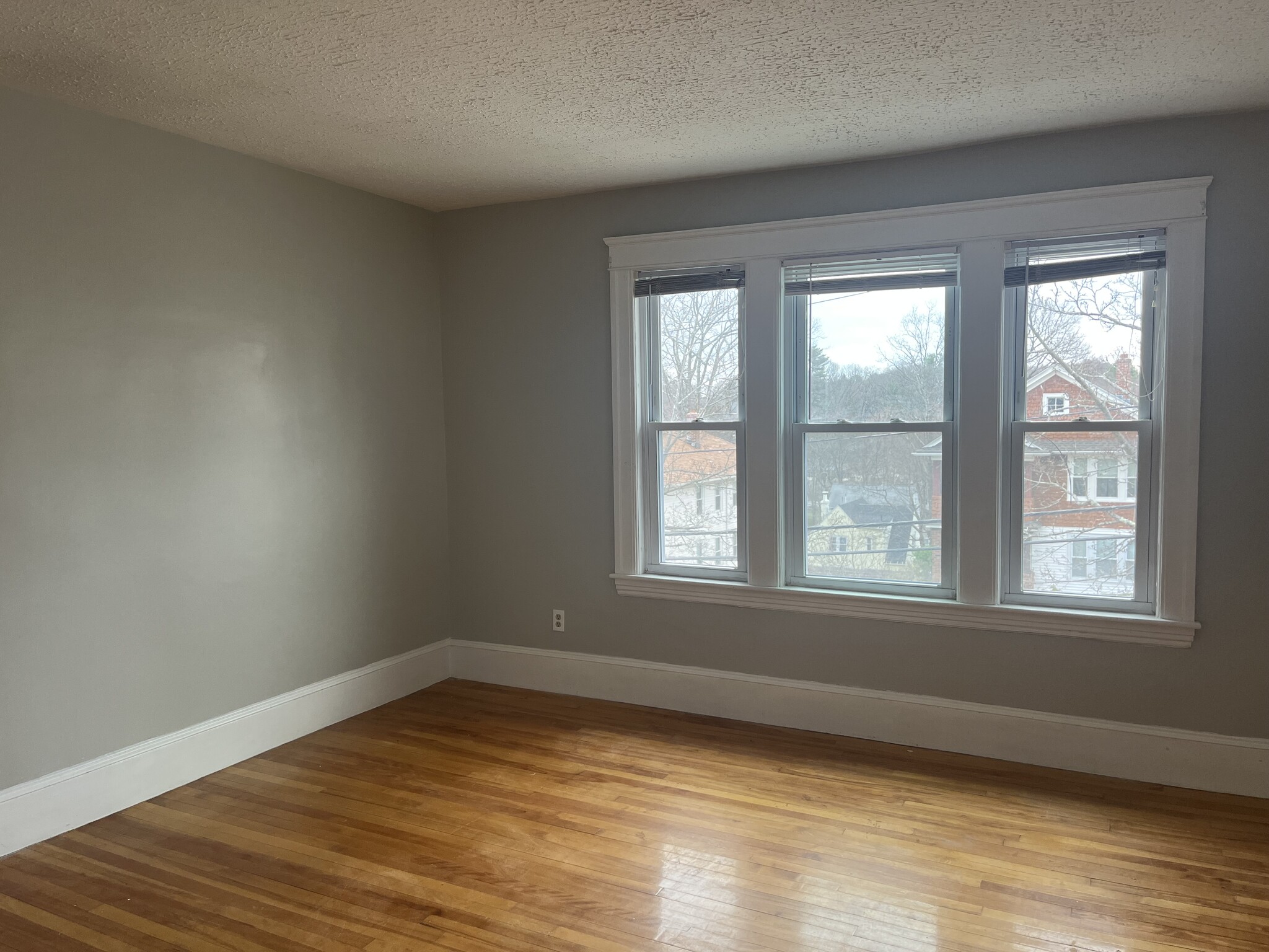 Building Photo - 81 Brantwood Rd