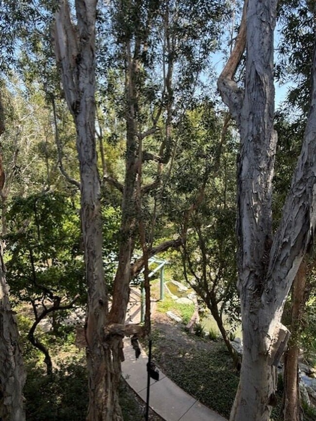 Building Photo - Top floor, 1 Bedroom, 1 Bath Condo in Ston...