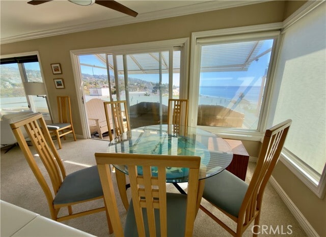 Building Photo - 251 Lower Cliff Dr