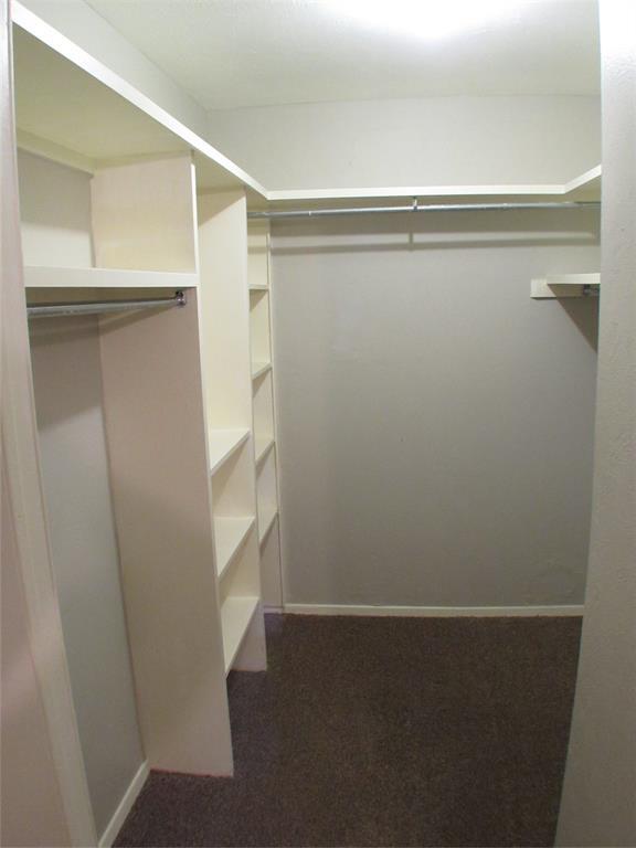 Building Photo - 10406 Shadow Bend Dr
