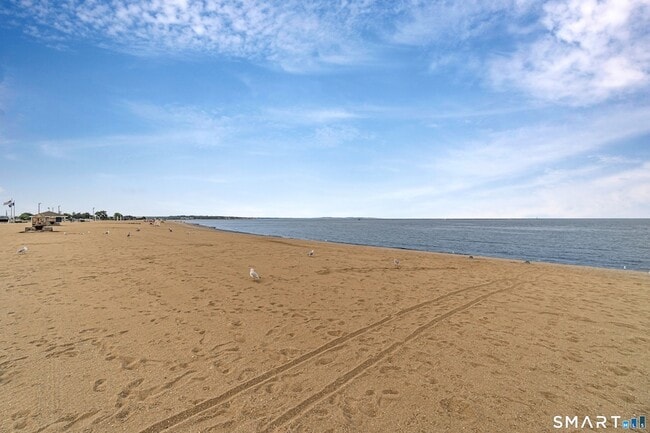 Building Photo - 115 Short Beach Rd